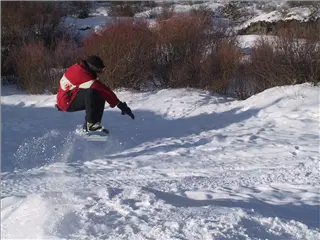 small_011230 coIMG_2221.webp